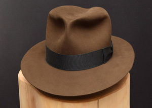 Read more about the article Kingdom Fedora