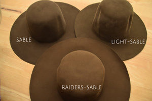 Read more about the article Indy Colours