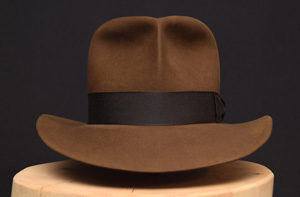Read more about the article Raider Fedora without “Turn”