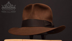 Read more about the article SoC in True-Sable