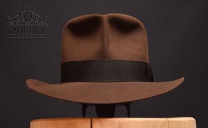 Read more about the article Raider Fedora without Turn in True-Sable