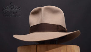 Read more about the article Custom Hero SoC Fedora in natural