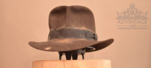 Read more about the article Hero SoC Fedora in True-Sable